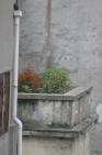 2006_06_0482