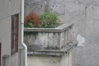 2006_06_0483