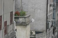 2006_06_0484